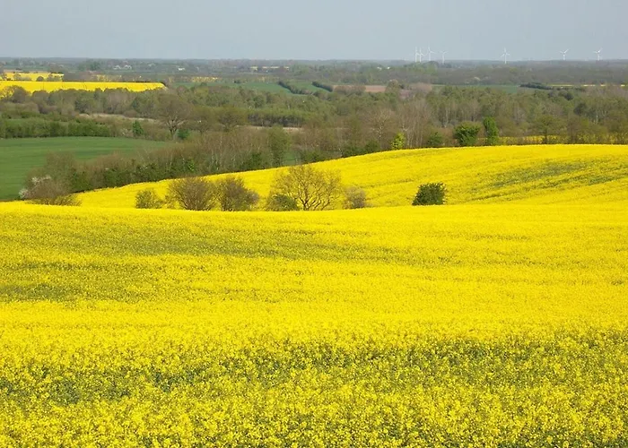 Ankerplatz * Bunsdorf